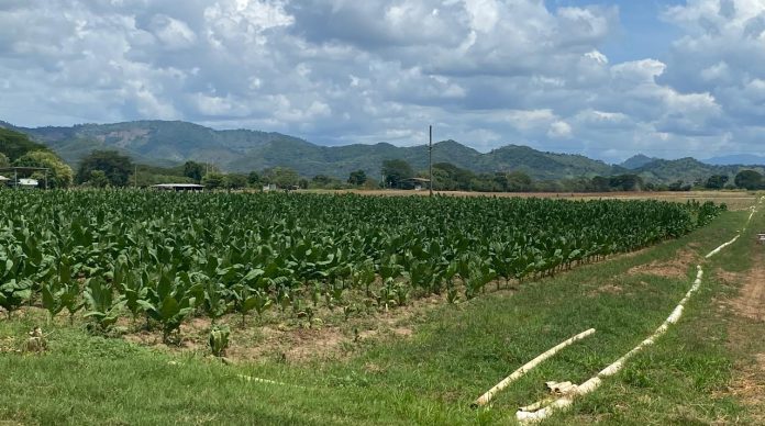 WhatsApp Image 2025-01-22 at 14.47.26 (4) (1)