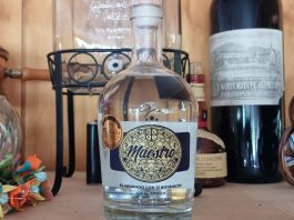 Gin Maestro, Un antes y después, para el gin de autor