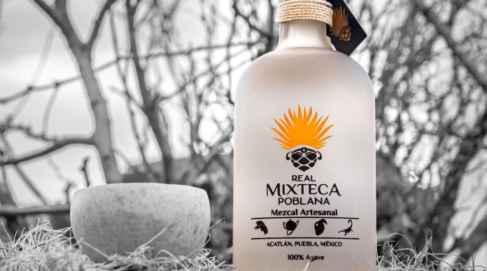 WhatsApp Image 2026-02-03 at 10.58.28 (3) (1)