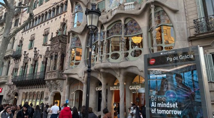 WhatsApp Image 2026-02-08 at 18.04.05 (20)