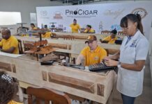 Francisca Paola Paulino, Facilitadora Infotep; El trabajo, un hobby