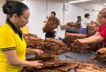 Iris Romero, Clasificación de Hojas, Siempre aspira a más…