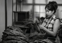 Una flor para las damas que honran nuestra industria