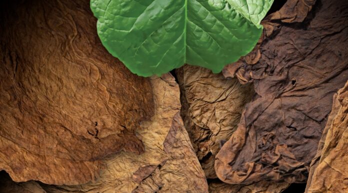 WhatsApp Image 2026-04-16 at 10.33.13