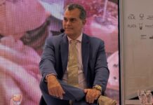 Honduras necesita entorno Business-Friendly para competir: Eiroa