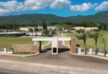Davidoff se retira de Procigar