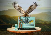 Vuela Royal Falcon en Europa, de la mano de Koop Tobaccos